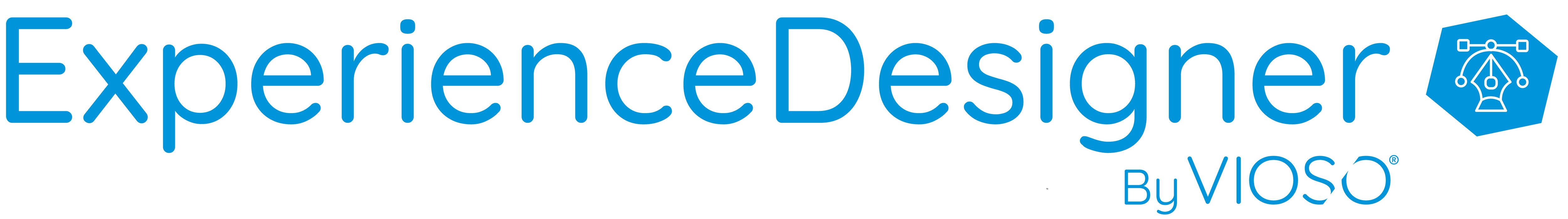 Experience Designer